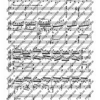 Third Piano Concerto in E minor - Piano Reduction