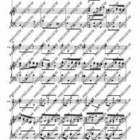 Concerto d minor - Piano Score and Solo Part