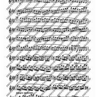 24 Virtuoso Studies