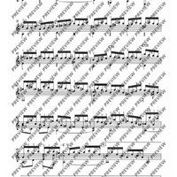 Flute Partita in A minor