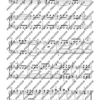 Symphony No. 5 C minor