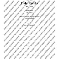 Flute Partita in A minor