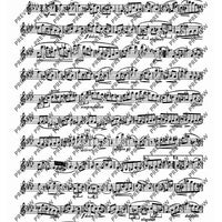 25 Caprices and Sonata