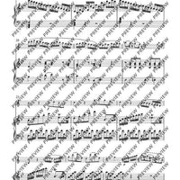 Sonata B flat major