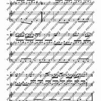 Concerto d minor - Piano Score and Solo Part