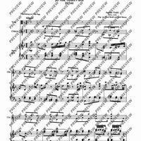 Concerto d minor - Piano Score and Solo Part