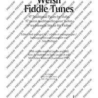 Welsh Fiddle Tunes