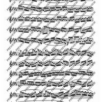 24 Virtuoso Studies