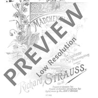 Maiden-Blossoms – Four Poems by Felix Dahn for Voice and Piano in D major