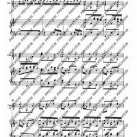 Concerto d minor - Piano Score and Solo Part