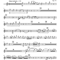 Concertino for Bassoon and Wind Ensemble - Flute 3