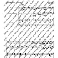 Concerto G Minor - Set of Parts