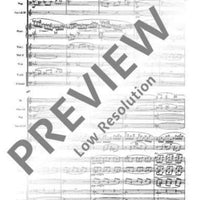 Concerto F# minor - Full Score