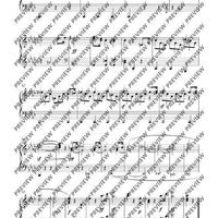 Symphony No. 5 C minor