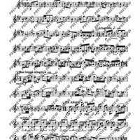 25 Caprices and Sonata