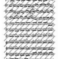 24 Virtuoso Studies