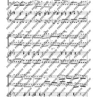 Concerto G Minor - Set of Parts