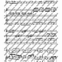 Concerto d minor - Piano Score and Solo Part