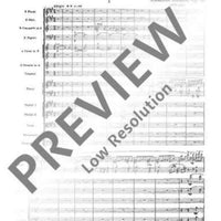 Concerto F# minor - Full Score