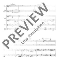 Symphony Bb major - Score