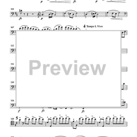 Cello Accompaniments - Volume 4