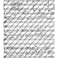 Divertimento (Suite) - Score and Parts