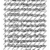 24 Virtuoso Studies