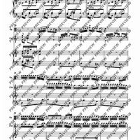 Concerto d minor - Piano Score and Solo Part