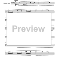 Brahms Studies for Double Bass - Sixteen Waltzes, Op.39