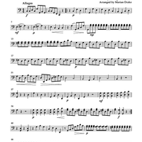 Cello Accompaniments - Volume 1