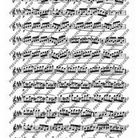 24 Virtuoso Studies