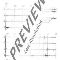 Museumsstücke I - Performing Score