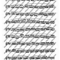 24 Virtuoso Studies