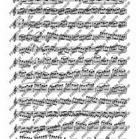 24 Virtuoso Studies