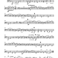 Cello Accompaniments - Volume 4