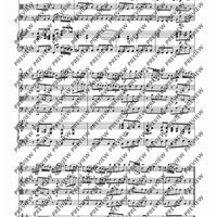 Concerto II G Minor - Score