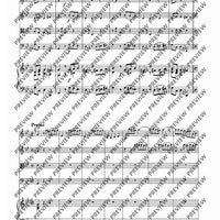 Concerto II G Minor - Score