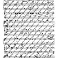 Divertimento (Suite) - Score and Parts