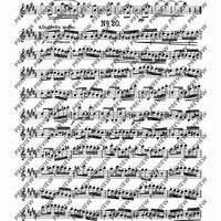 24 Virtuoso Studies