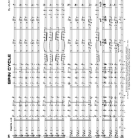 Spin Cycle - Score