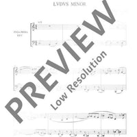 Ludus minor - Performing Score