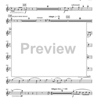 Concertino for Bassoon and Wind Ensemble - Flute 3