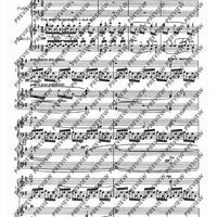 Third Piano Concerto in E minor - Piano Reduction