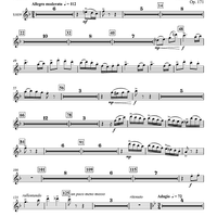 Concertino for Bassoon and Wind Ensemble - Piccolo