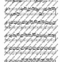 Passacaglia G minor / Chaconne D minor