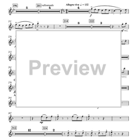 Concertino for Bassoon and Wind Ensemble - Piccolo