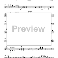 Cello Accompaniments - Volume 4