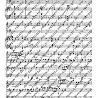 Divertimento (Suite) - Score and Parts