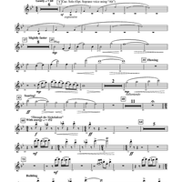 Chautauqua - Flute 2