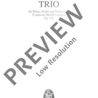 Piano Trio C minor - Full Score